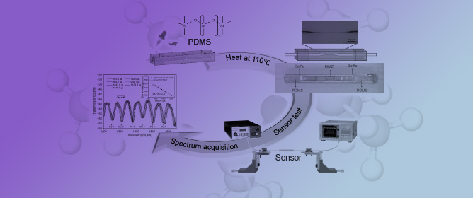 Robust Strain Sensor with High Sensitivity Based on Polymer-Encapsulated Microfiber Mach&ndash;Zehnder Interferometer