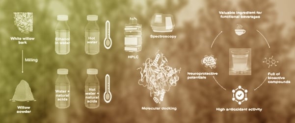 Preparation of Herbal Beverages from <em>Salix alba</em> with Alzheimer&rsquo;s Disease Inhibitory Potential