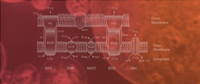 Antibiotic Resistance in Acetic Acid Bacteria Originating from Vinegar