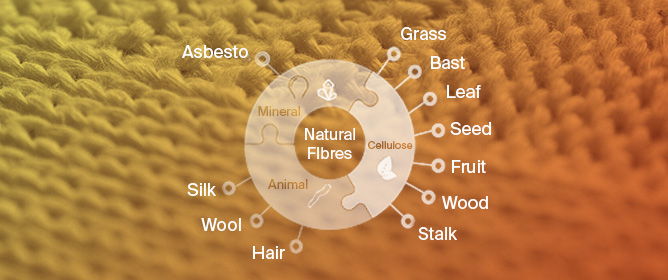 Structure versus Property Relationship of Hybrid Silk/Flax Composites