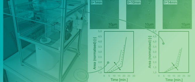 Fluctuations in Humidity Influence the Structure Formation and Swelling of Casein Microparticles