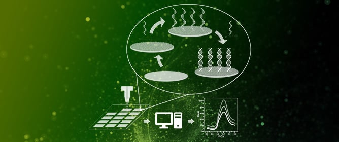 Paper-Based DNA Biosensor for Rapid and Selective Detection of miR-21