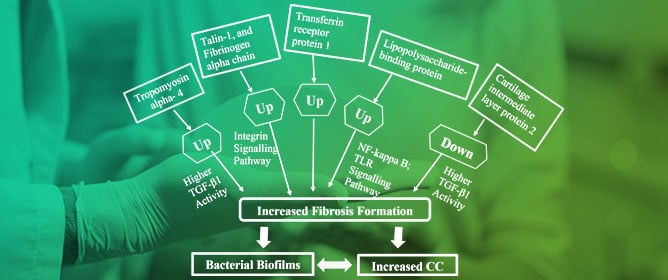 Plasma Proteins Associated with Breast Implant Capsular Contracture