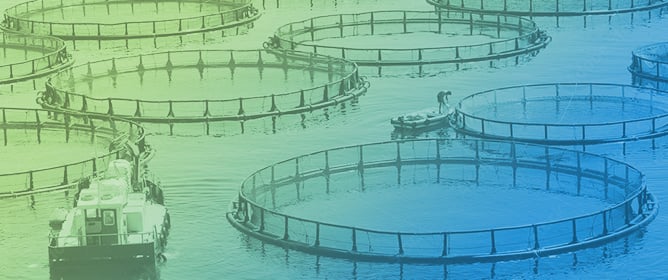 Building the Social Acceptability of Aquaculture through a Participatory Approach: An Experiment Conducted in Monastir Bay, Tunisia