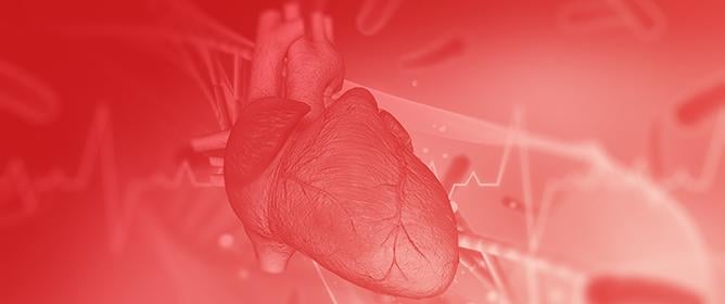 Bicuspid Aortic Valve Disease with Early-Onset Complications: Characteristics and Aortic Outcomes