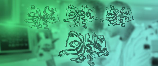 Advances in Cathepsin S Inhibition: Challenges and Breakthroughs in Drug Development