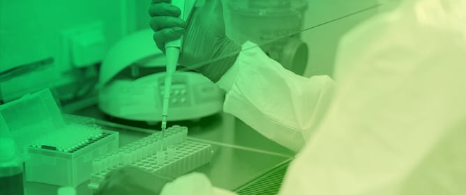 Step-by-Step Development of a Recombinase Polymerase Amplification (RPA) Assay for Sex Identification in Papaya