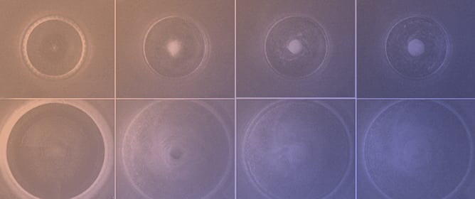 Dissipation Effects in the Tea Leaf Paradox