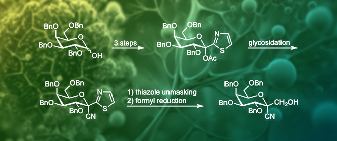 Thiazolylketol Acetates as Glycosyl Donors: Stereoselective Synthesis of a <em>C</em>-Ketoside