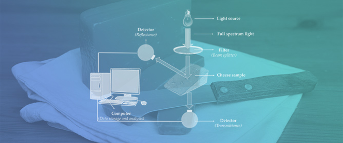 Advances in Spectroscopic Methods for Predicting Cheddar Cheese Maturity: A Review of FT-IR, NIR, and NMR Techniques