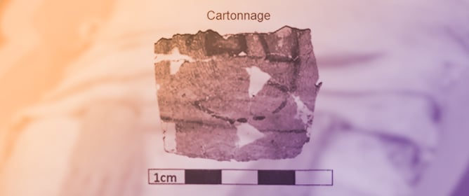 Multi-Technique Characterization of Cartonnage and Linen Samples of an Egyptian Mummy from the Roman Period