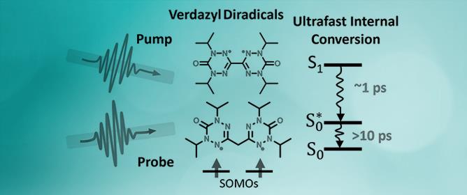 Ultrafast Excited State Dynamics of a Verdazyl Diradical System