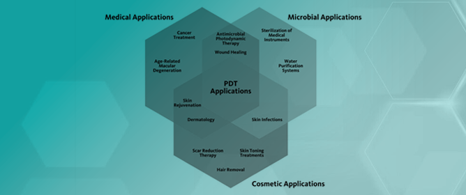 Photodynamic Therapy Review: Past, Present, Future, Opportunities and Challenges