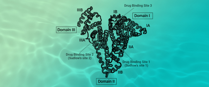 Serum Albumin in Nasal Drug Delivery Systems: Exploring the Role and Application