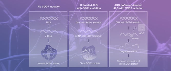 Recent Progress of Antisense Oligonucleotide Therapy for <em>Superoxide-Dismutase-1</em>-Mutated Amyotrophic Lateral Sclerosis: Focus on Tofersen