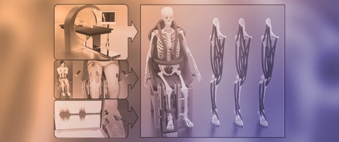 Image-Based Musculoskeletal Models to Accurately Reproduce a Maximum Voluntary Isometric Contraction Test In Silico