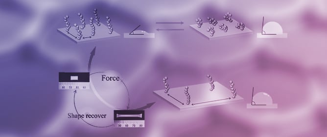 Shape-Memory Property Acting as a Switch to Change the Surface Property of the Film