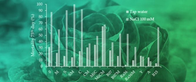 Microbial Biocontrol Agents and Natural Products Act as Salt Stress Mitigators in <em>Lactuca sativa</em> L.