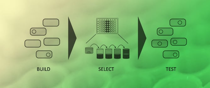 Getting the Right Clones in an Automated Manner: An Alternative to Sophisticated Colony-Picking Robotics