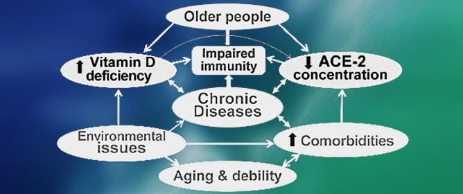 Vitamin D and ACE-2: Molecular Interactions Mitigating SARS-CoV-2 Complications