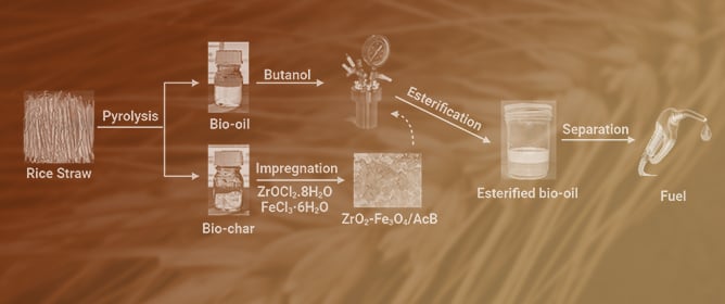 Upgrading of Rice Straw Bio-Oil to Butyl Esters over ZrO<sub>2</sub>&minus;Fe<sub>3</sub>O<sub>4</sub> Nanocatalyst