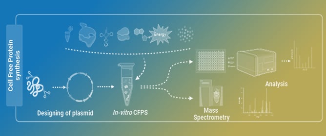 Computational Strategies to Enhance Cell-Free Protein Synthesis Efficiency