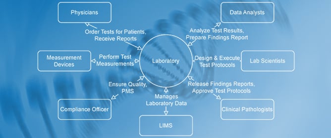 Using Large Language Models for Microbiome Findings Reports in Laboratory Diagnostics