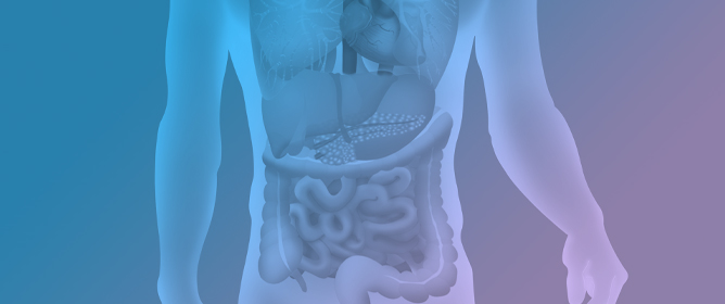 Inflammatory Bowel Diseases in Spain: A View from the Present to the Future