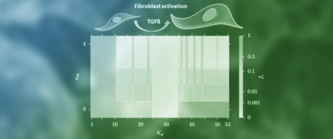 Fibroblast-Specific Protein-Protein Interactions for Myocardial Fibrosis from MetaCore Network