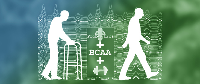 Biomarkers of Frailty in Patients with Advanced Chronic Liver Disease Undergoing a Multifactorial Intervention Consisting of Home Exercise, Branched-Chain Amino Acids, and Probiotics