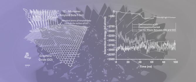 Role of Graphene Oxide in Disentangling Amyloid Beta Fibrils