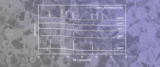 Self-Assembled Synthesis of Graphene Tubes from Melamine Catalyzed by Calcium Carbonate