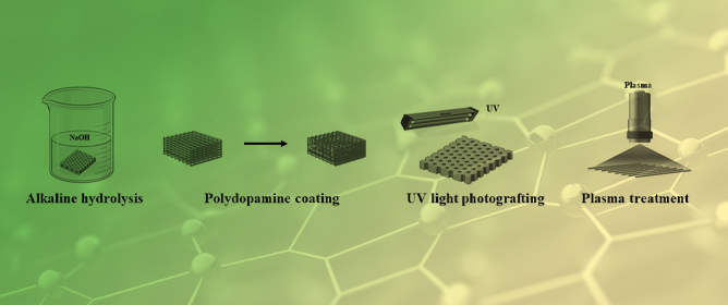 Surface Functionalization of 3D-Printed Bio-Inspired Scaffolds for Biomedical Applications: A Review