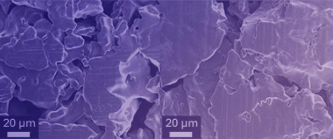 Plasma Coating for Hydrophobisation of Micro- and Nanotextured Electrocatalyst Materials