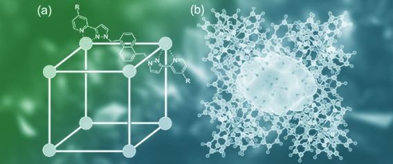 Structural Analysis of Coordination Cage/Guest Complexes Prepared with the &lsquo;Crystalline Sponge&rsquo; Methodology