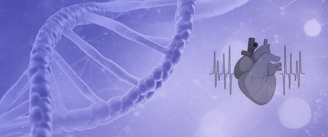 Circulating Cell-Free Nuclear DNA Predicted an Improvement of Systolic Left Ventricular Function in Individuals with Chronic Heart Failure with Reduced Ejection Fraction