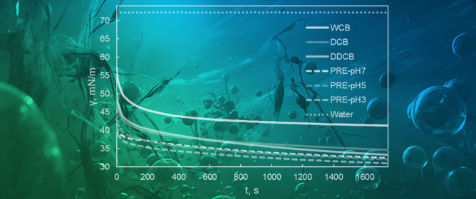 Foaming Properties of <em>Chlorella sorokiniana</em> Microalgal Biomass