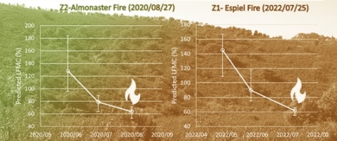 Transferability of Empirical Models from Satellite Imagery for LFMC Estimation and Fire Risk Prediction