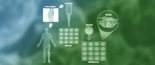 Slow H<sub>2</sub>S-Releasing Donors and 3D Printable Arrays Cellular Models in Osteo-Differentiation of Mesenchymal Stem Cells for Personalized Therapies