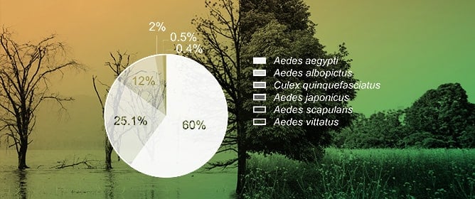 <em>Aedes scapularis</em>, <em>Aedes japonicus</em>, and <em>Aedes vittatus</em>: Three Neglected Mosquitoes with Global Health Risks