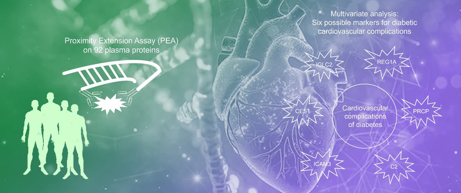 Circulating Factors as Potential Biomarkers of Cardiovascular Damage Progression Associated with Type 2 Diabetes