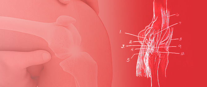 Fabella Syndrome: Anatomy, Diagnosis, Treatment, and Outcomes