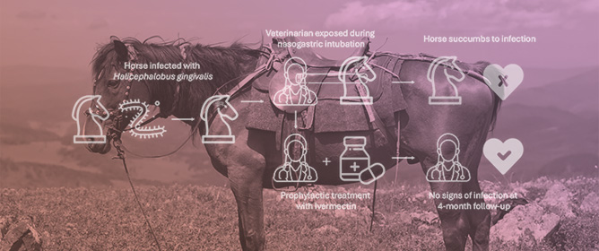 Human Exposure to Equine <em>Halicephalobus gingivalis</em> in an Occupational Context