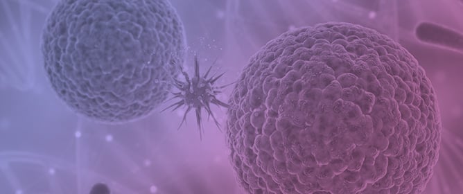 Interplay of Cellular Nrf2/NF-&kappa;B Signalling after Plasma Stimulation of Malignant vs. Non-Malignant Dermal Cells