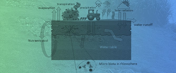 An Extensive Review of Leaching Models for the Forecasting and Integrated Management of Surface and Groundwater Quality