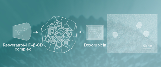 Double Encapsulation of Resveratrol and Doxorubicin in Composite Nanogel Reduces Doxorubicin Cardio- and Neurotoxicity