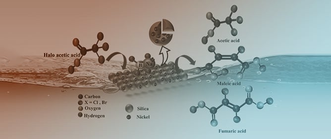 New Product in De-Halogenation of Halo-Acetic Acids Using Ni@ORMOSIL Catalysts