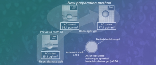 Improvement of Adsorption Capacity by Refined Encapsulating Method of Activated Carbon into the Hollow-Type Spherical Bacterial Cellulose Gels for Oral Absorbent