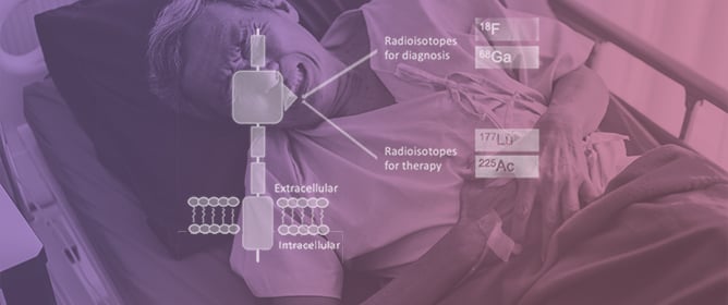 Theranostics Nuclear Medicine in Prostate Cancer