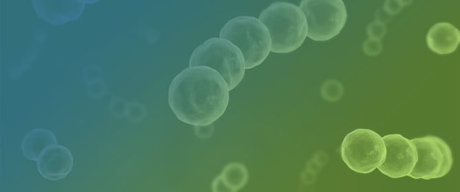 Carbapenemases in Croatian Hospital and Community <em>K. pneumoniae</em> Isolates